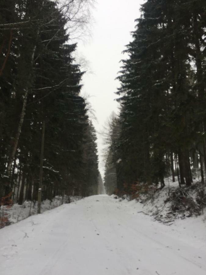 Hermanov 141 Jindrichovice Екстериор снимка
